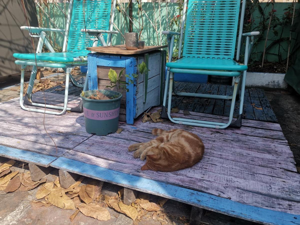 Foshan Cuba Youth Hostel Dış mekan fotoğraf
